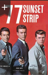 77 Sunset Strip (Incomplete Series) (image for) 77 Sunset Strip (Incomplete Series)